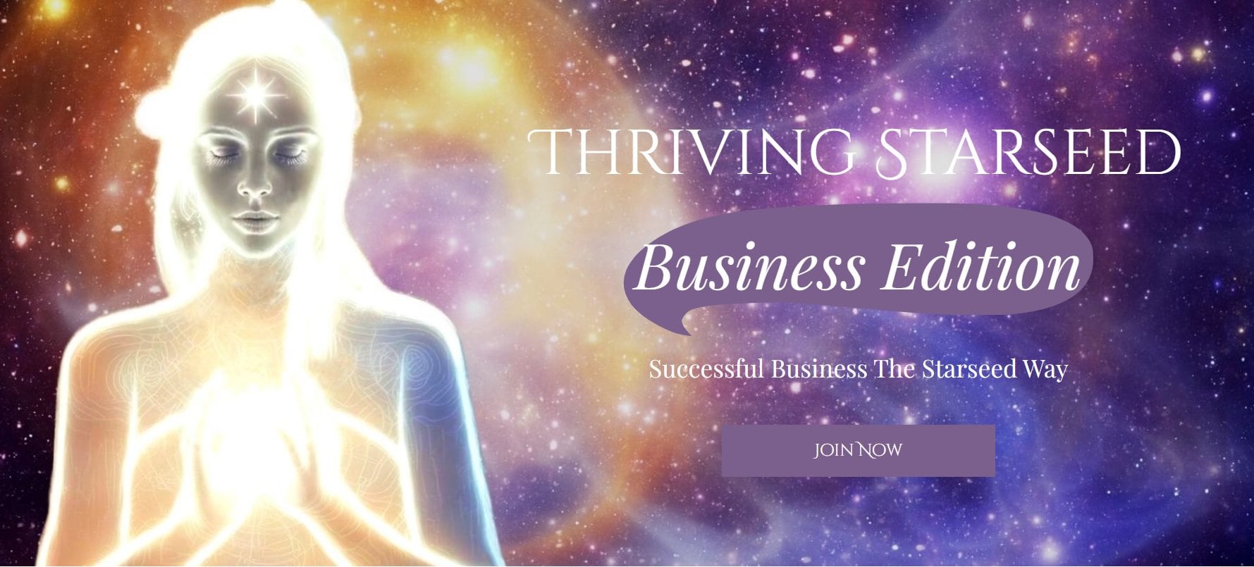 TSBE thriving starseed business edition